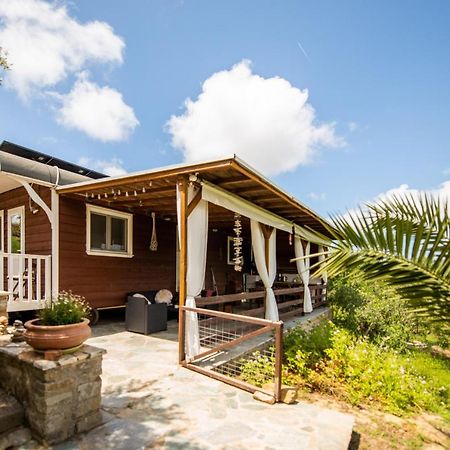 Hakuna Matata Holidays Wooden Lodge With Airco & Pool In Greek Olive Grove Modon Exterior foto