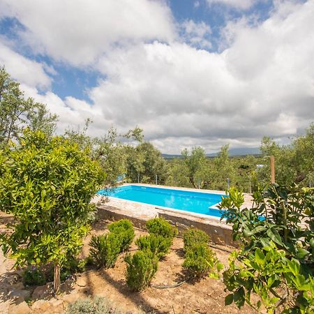 Hakuna Matata Holidays Wooden Lodge With Airco & Pool In Greek Olive Grove Modon Exterior foto