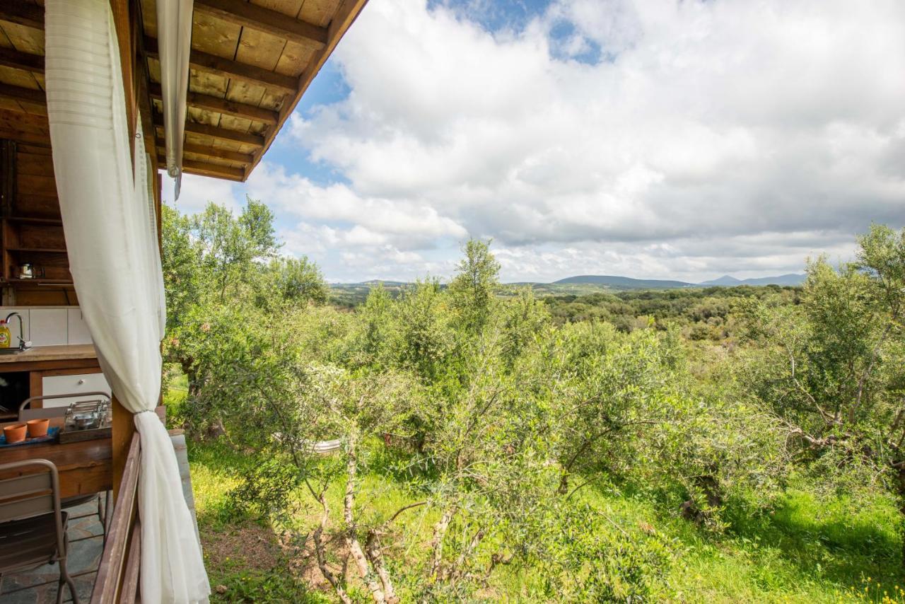 Hakuna Matata Holidays Wooden Lodge With Airco & Pool In Greek Olive Grove Modon Exterior foto