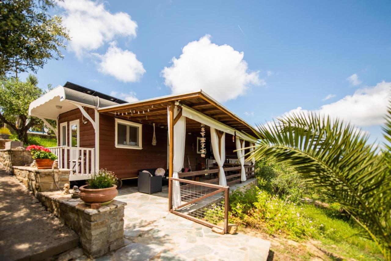 Hakuna Matata Holidays Wooden Lodge With Airco & Pool In Greek Olive Grove Modon Exterior foto