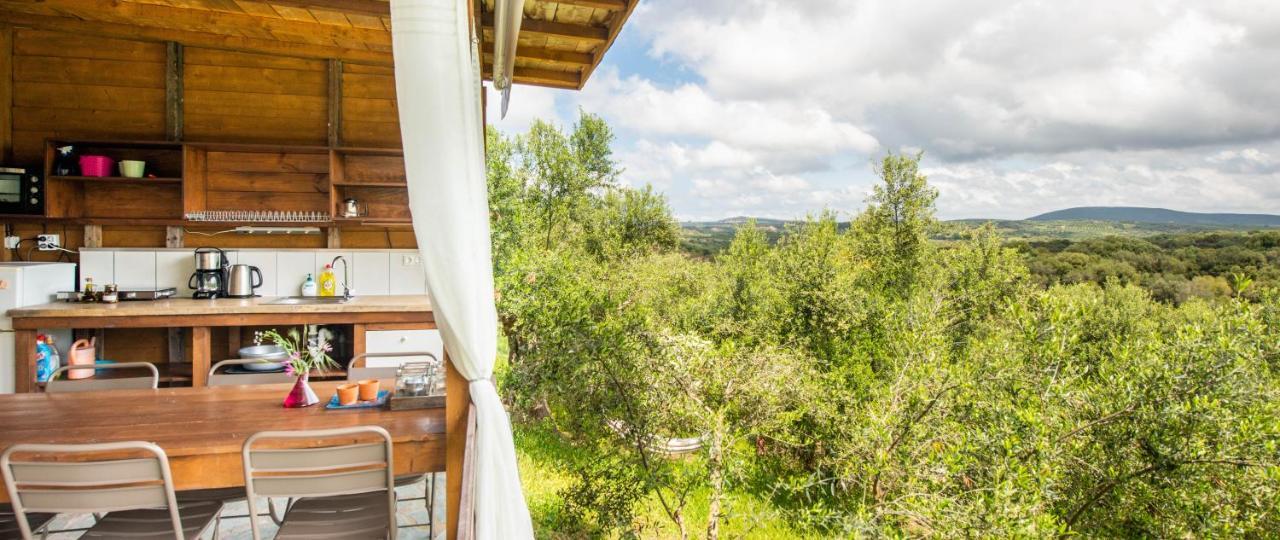 Hakuna Matata Holidays Wooden Lodge With Airco & Pool In Greek Olive Grove Modon Exterior foto