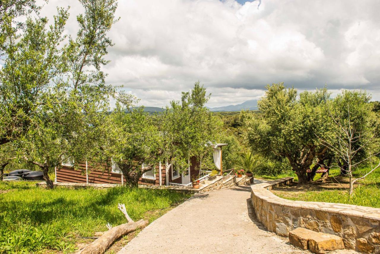 Hakuna Matata Holidays Wooden Lodge With Airco & Pool In Greek Olive Grove Modon Exterior foto
