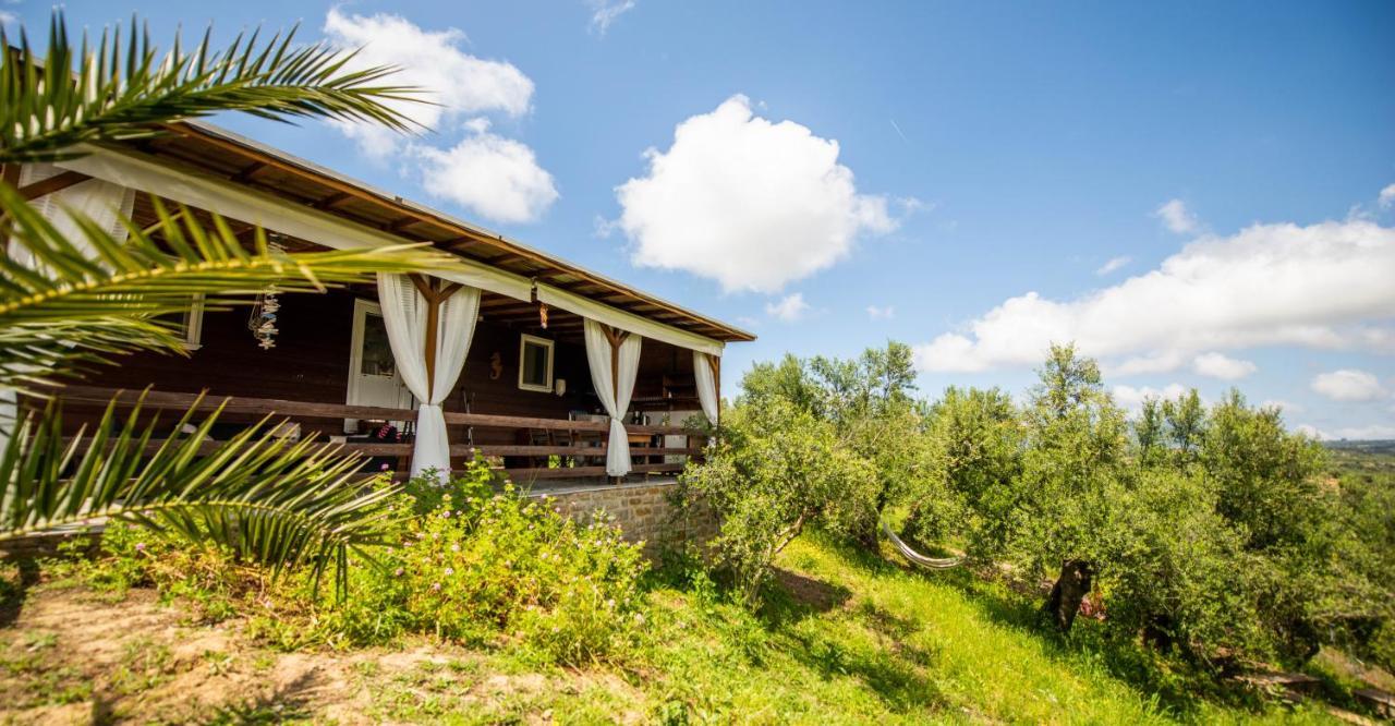 Hakuna Matata Holidays Wooden Lodge With Airco & Pool In Greek Olive Grove Modon Exterior foto