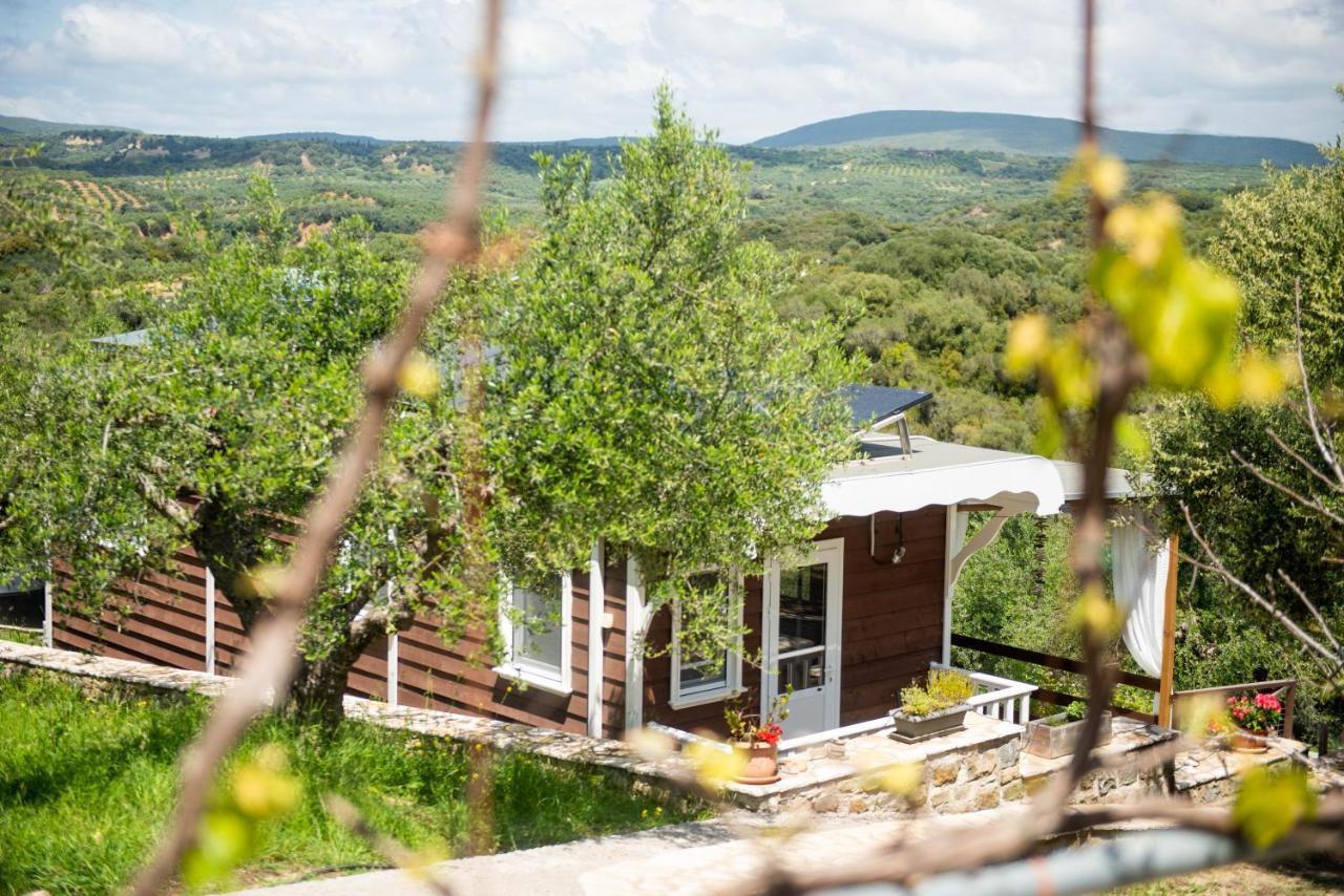 Hakuna Matata Holidays Wooden Lodge With Airco & Pool In Greek Olive Grove Modon Exterior foto