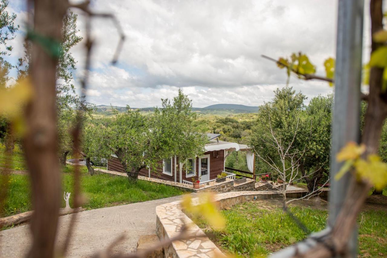 Hakuna Matata Holidays Wooden Lodge With Airco & Pool In Greek Olive Grove Modon Exterior foto