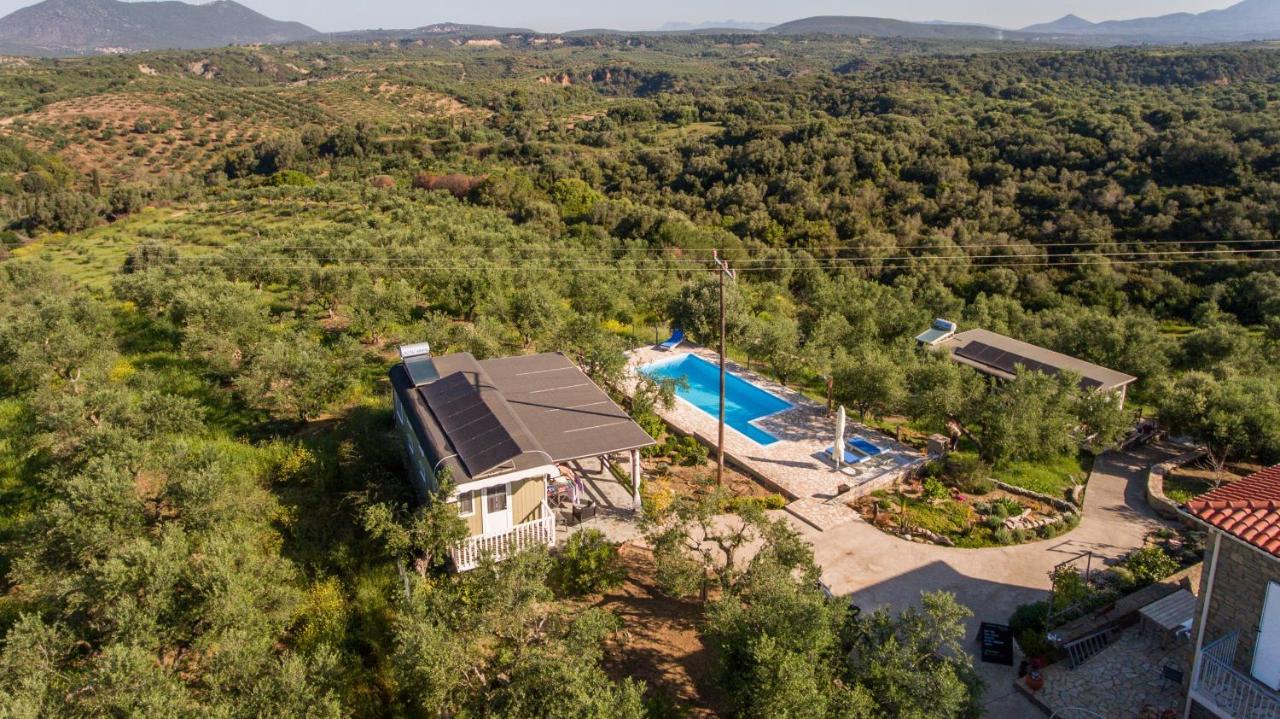 Hakuna Matata Holidays Wooden Lodge With Airco & Pool In Greek Olive Grove Modon Exterior foto