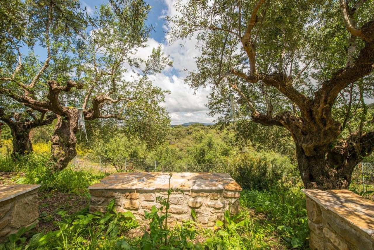 Hakuna Matata Holidays Wooden Lodge With Airco & Pool In Greek Olive Grove Modon Exterior foto