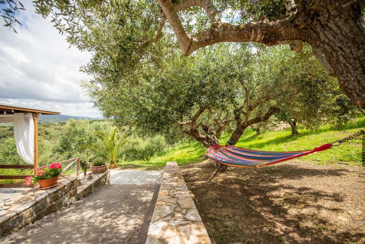 Hakuna Matata Holidays Wooden Lodge With Airco & Pool In Greek Olive Grove Modon Exterior foto