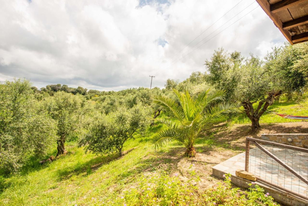 Hakuna Matata Holidays Wooden Lodge With Airco & Pool In Greek Olive Grove Modon Exterior foto