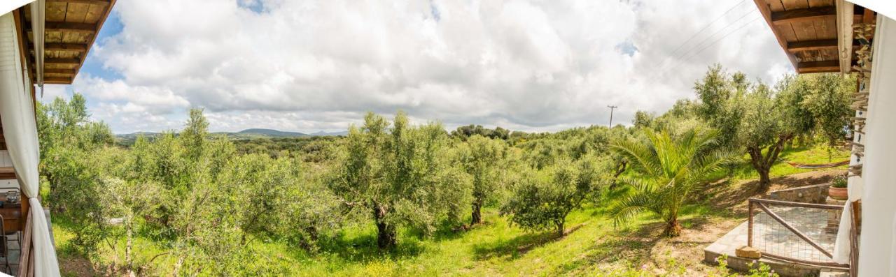 Hakuna Matata Holidays Wooden Lodge With Airco & Pool In Greek Olive Grove Modon Exterior foto