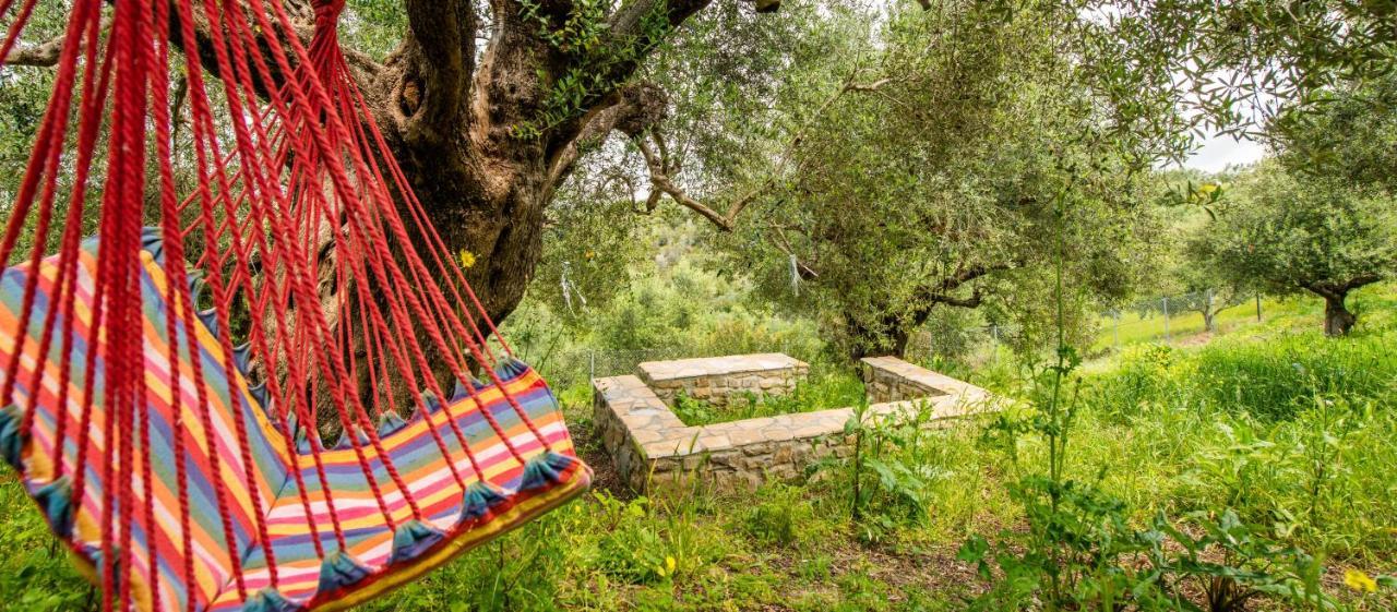 Hakuna Matata Holidays Wooden Lodge With Airco & Pool In Greek Olive Grove Modon Exterior foto