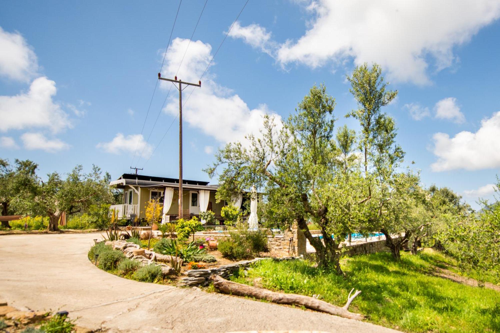 Hakuna Matata Holidays Wooden Lodge With Airco & Pool In Greek Olive Grove Modon Exterior foto